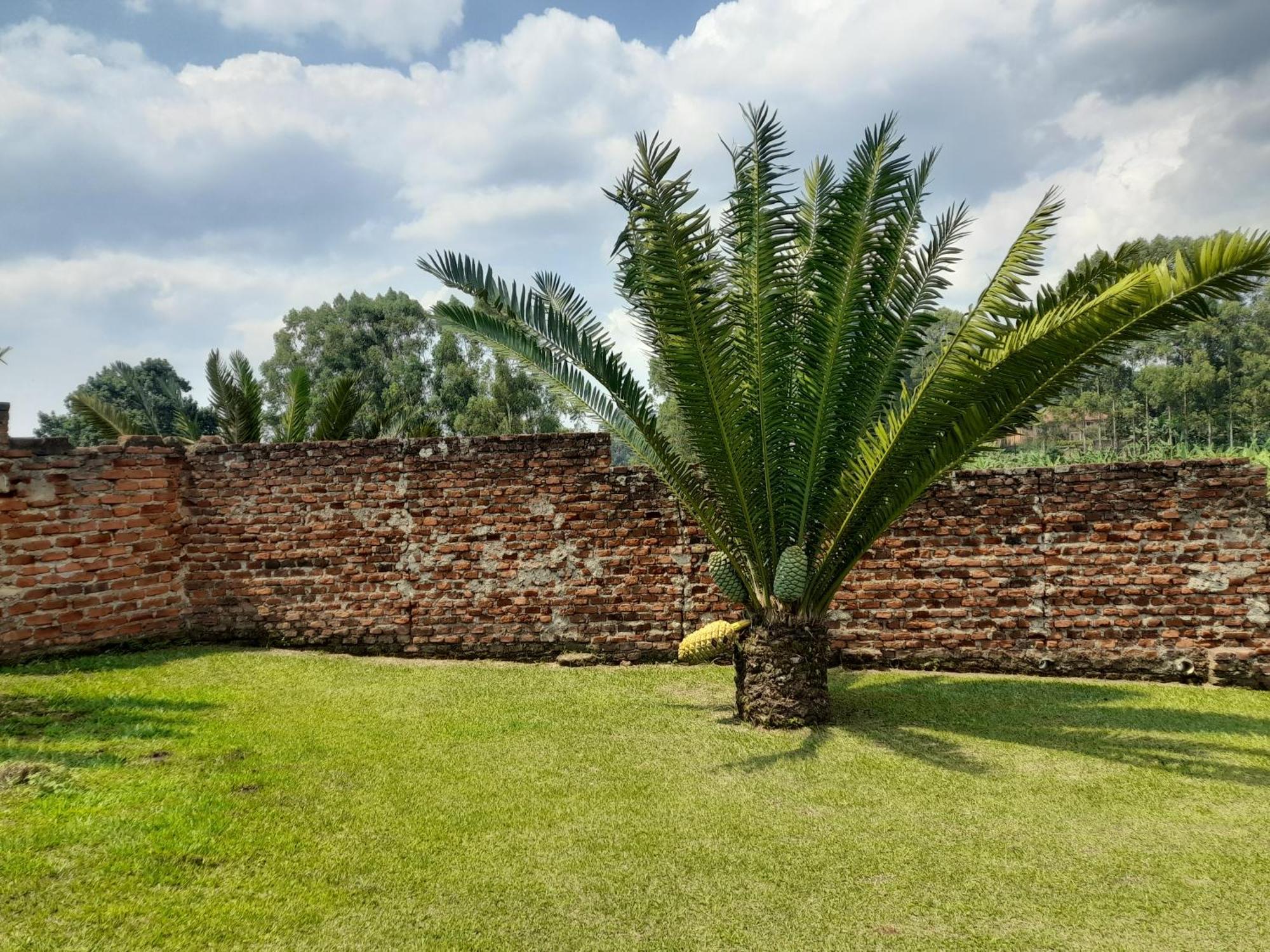 Maasai Villa Backpackers Home Fort Portal Extérieur photo